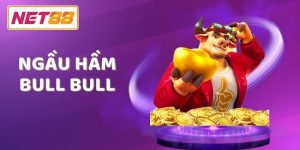 ngầu hầm bull bull