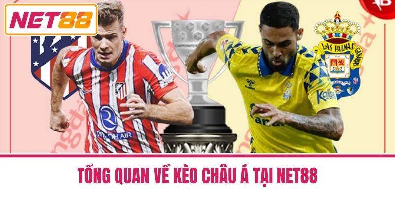 Nhận Định Kèo Châu Á Đỉnh Cao Từ Các Chuyên Gia Net88 2 Tổng Quan Về Kèo Châu Á Tại Net88