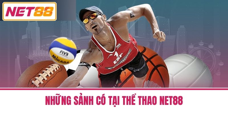 thể thao net88 2 Những Sảnh Có Tại Thể Thao Net88